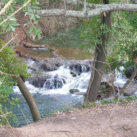 4 Safraniers Sillans-la-Cascade Exterior foto