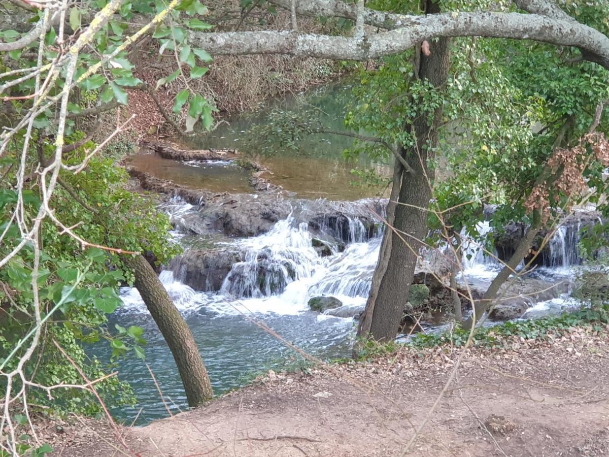 4 Safraniers Sillans-la-Cascade Exterior foto